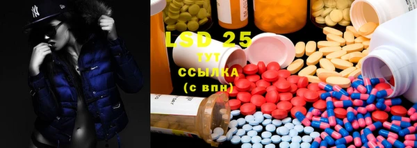 PSILOCYBIN Новокубанск