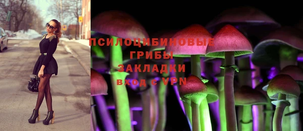 винт Алзамай
