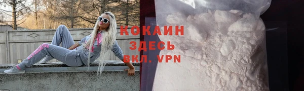 дживик Арсеньев