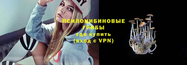 метадон Алексин
