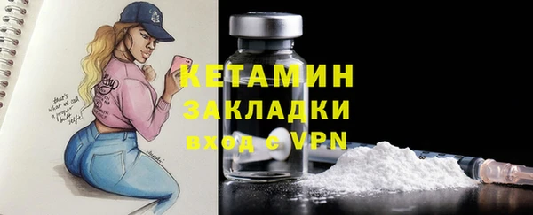 трава Новозыбков